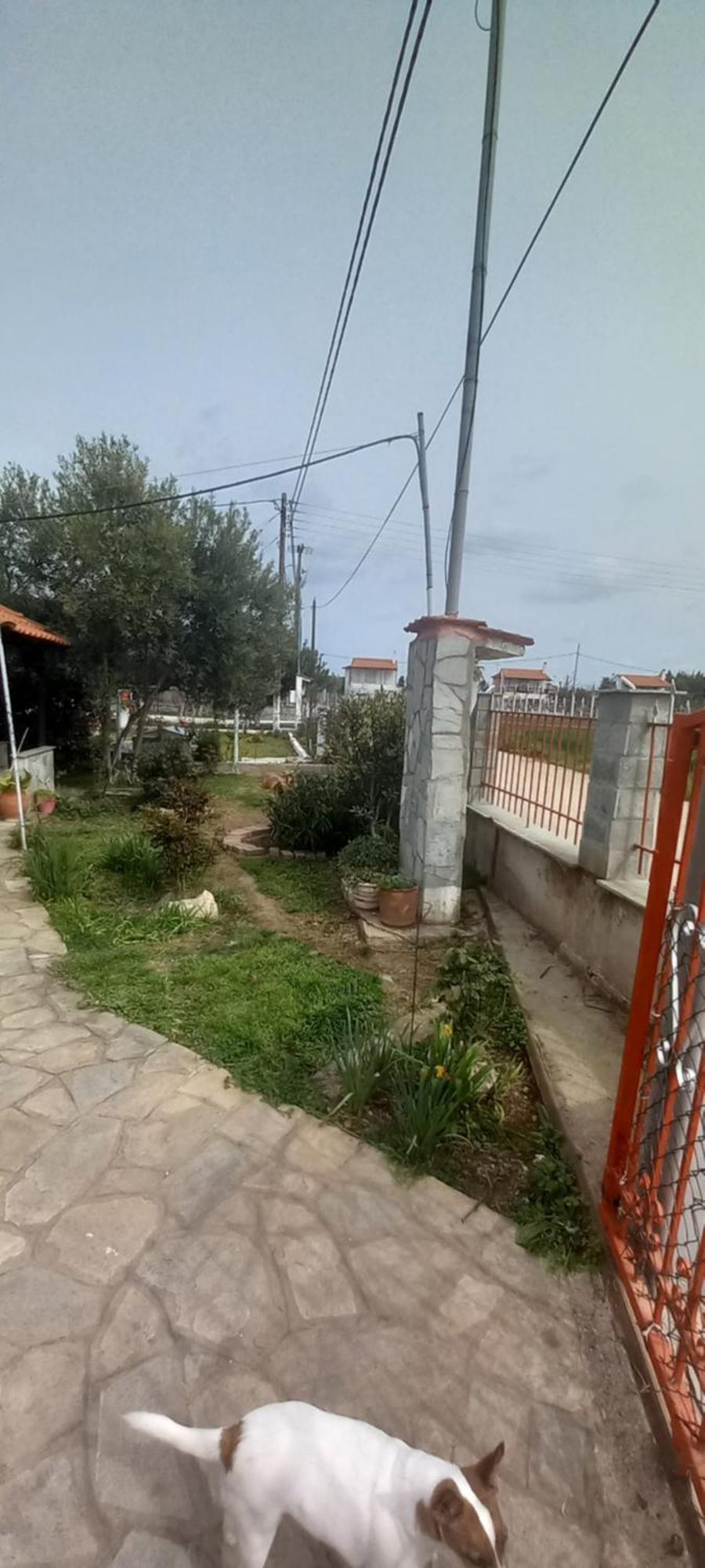 Villa Julia Nea Plagia Exteriér fotografie